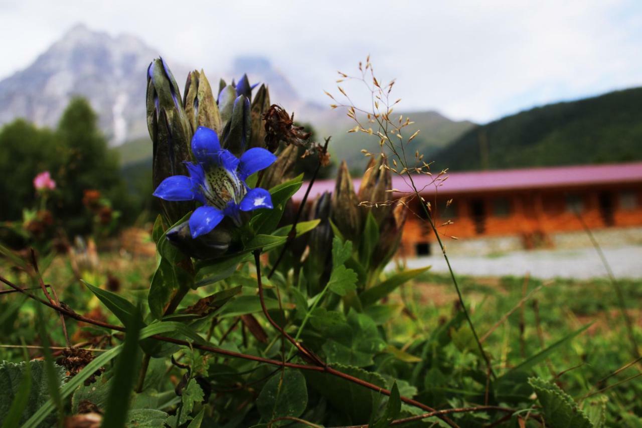 Hotel Ushba Hill Местия Екстериор снимка